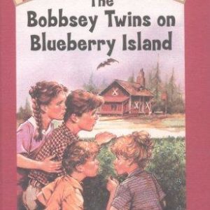 the bobbsey twins on blueberry island # 10