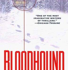 Bloodhound
