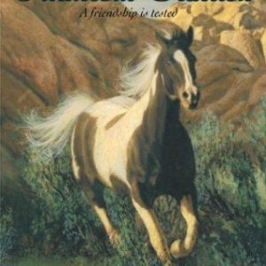 phantom stallion - red feather filly # 10