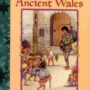 wonder tales of ancient wales