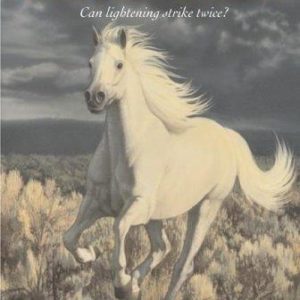 phantom stallion - the sildest heart