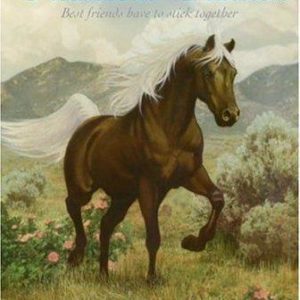 phantom stallion - mountain mare