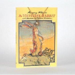 the velveteen rabbit