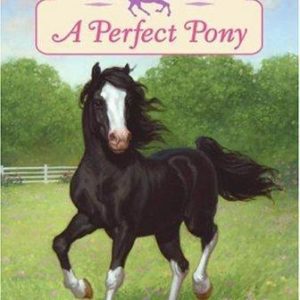 charming Ponies-A Perfect Pony