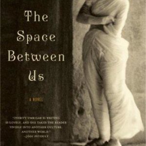 the space between us