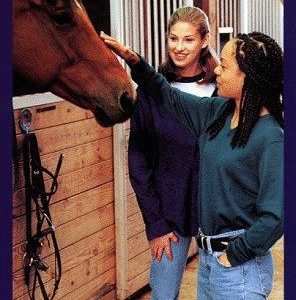 pine hollow # 2 - the trail home