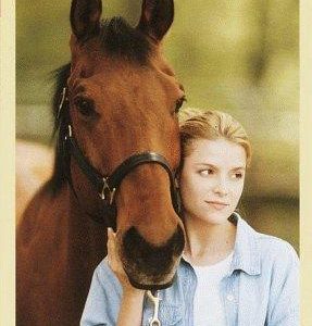 Pine Hollow - Cross - Ties