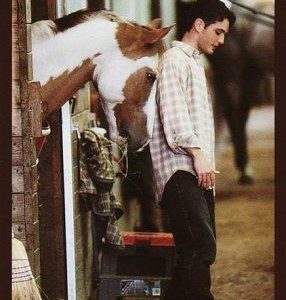 pine hollow # 16-  track record