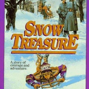 snow treasure