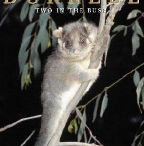 two in the bush