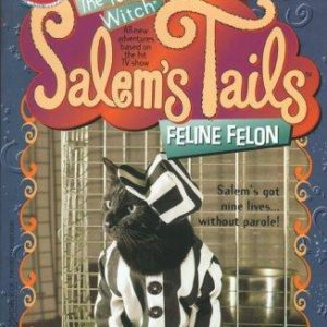 Sabrina the teenage witch-Salems Tails Feline Felo