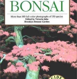 Guide to Bonsai