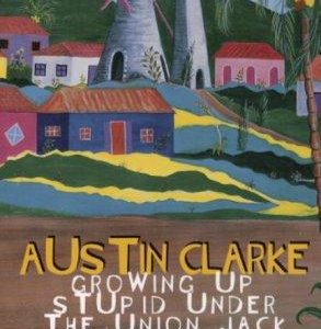 Growing up Stupid Under The Union Jack