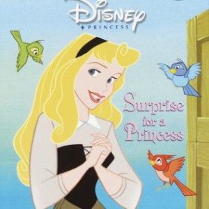 surprise for a princess