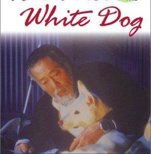 to dance with the white dog