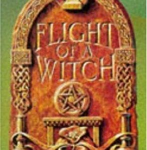 Flight Of A Witch