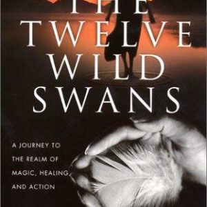 the twelve wild swans