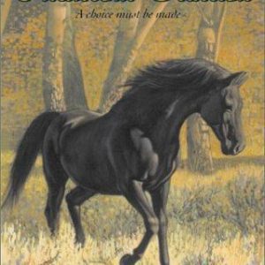 phantom stallion - the challenger