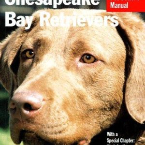 Chesapeake Bay Retrievers