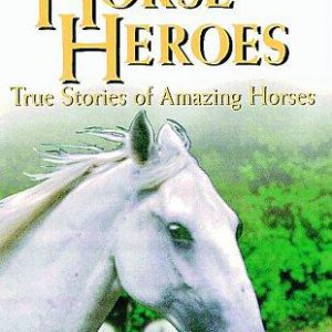 horses heros true stories of amazing horses