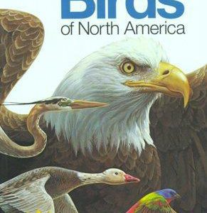 Field Guide to the Birds of North America