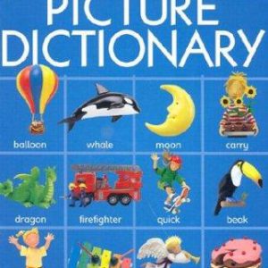 the usborne picture dictionary