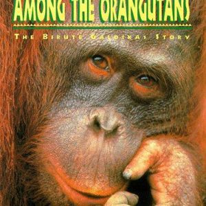 among the orangutans