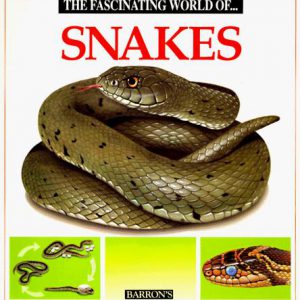 The Fascinating World Of Snakes