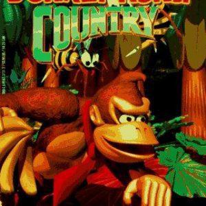 Donkey Kong Country