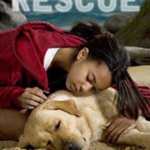 dog whisper the rescue