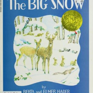 the big snow