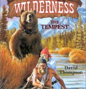 Wilderness # 36- the tempest