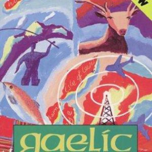 teach yourself gaelic