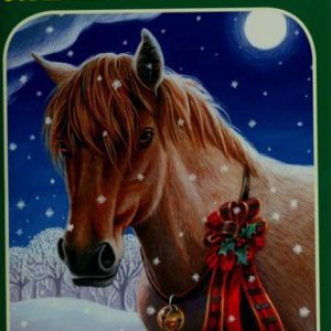 Animal Ark # - colt on christmas eve