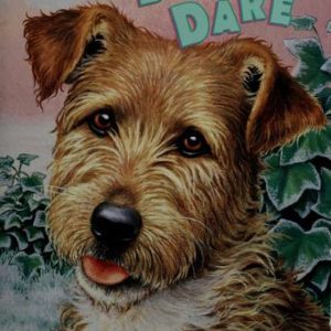 Animal Ark # 12 Doggy Dare