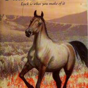 phantom stallion - heartbreak bronco