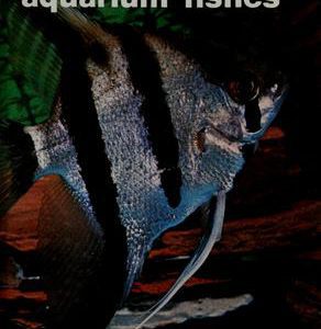 Handbook Of Tropical Aquarium Fish