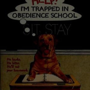Help I'm Trapped In Obedience School