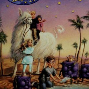 The Secrets of Droon # 2 - journey to the volcano palace