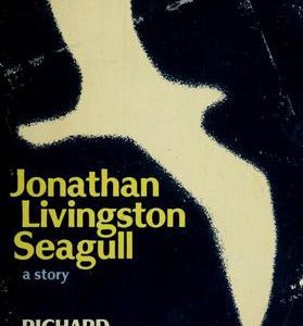 Jonathan Livingston seagull