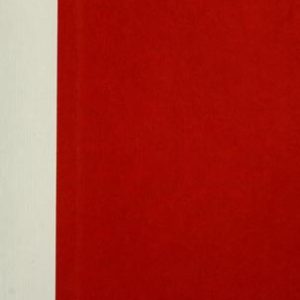 The Last White Knight