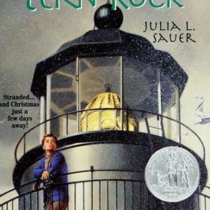 The Light at tern Rock