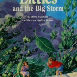 the littles and the big storm