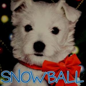 The Puppy Place - Snowball