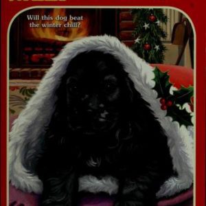 animal ark pets # - spaniel in a stocking