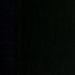 Star Trek - The Lost Years