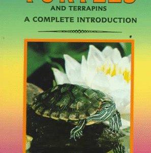 turtles and terrapins