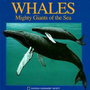 Whales Mighty Giants of the Sea