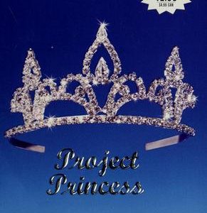 Project princess