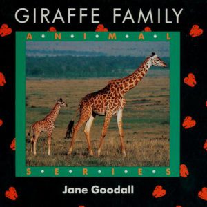 Giraffe Family